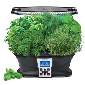 Read more about the article Save on Indoor Gardens by Aerogrow ( up to 50% @Amazon)