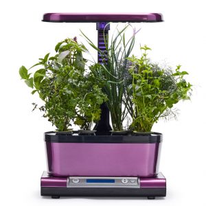 Read more about the article AeroGarden Harvest Elite WiFi with Gourmet Herbs Seed Pod Kit $67.47 @Sur La Table after coupon